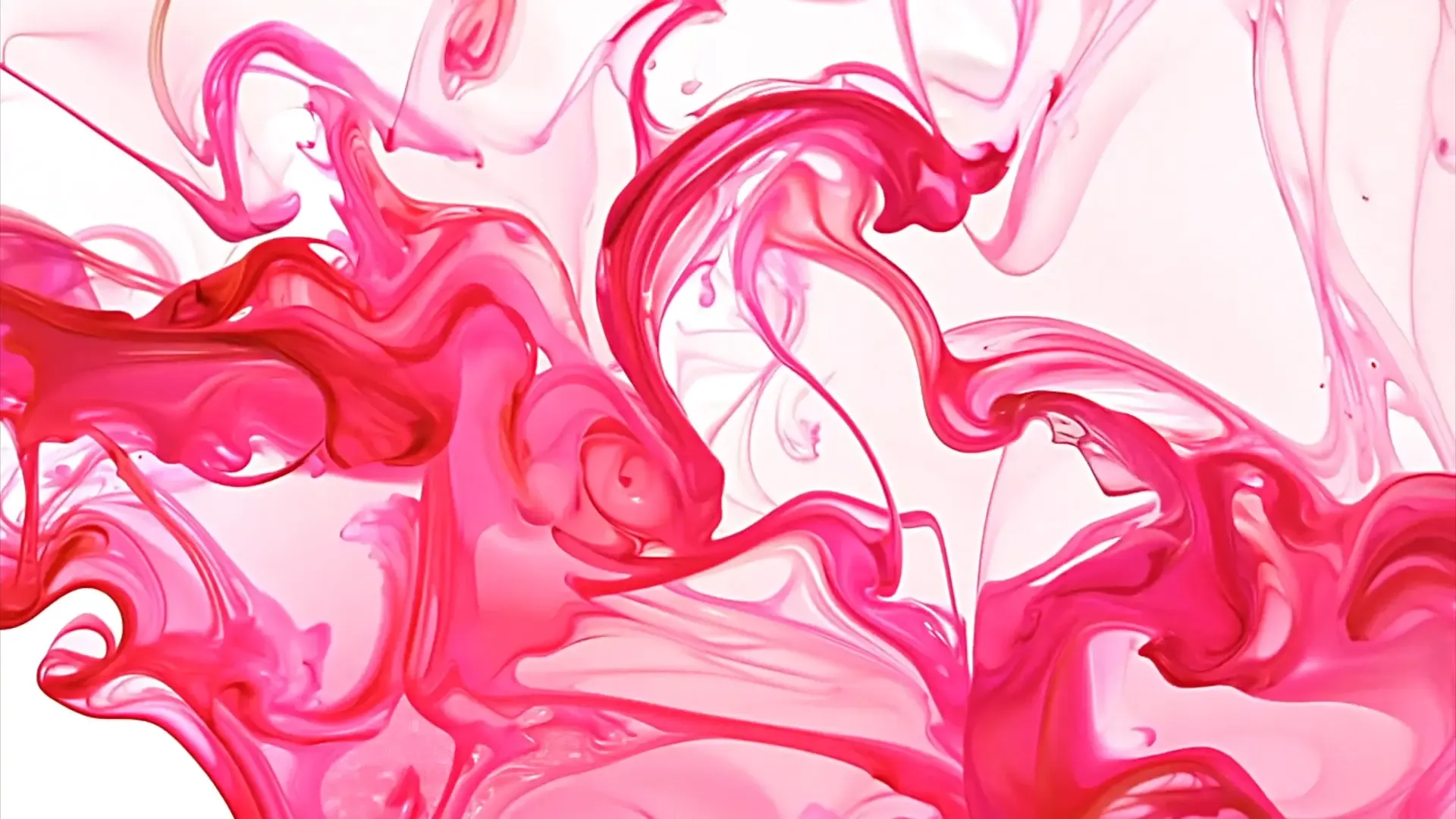 Vivid Pink Fluid Art Transition for Cosmetic Ads